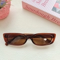 Chic cat-eye sunglasses with amber tortoiseshell frames and brown lenses on a white surface - Transparent Dark Tea