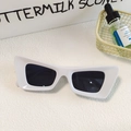 White oval cat-eye sunglasses with thick frames and dark lenses for a retro chic look - Geometric Cat Eye Thick Frame (White 6)