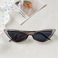 Cat eye sunglasses in translucent taupe frame with dark black lenses for a chic look - Transparent Gray Frame & Gray Lenses