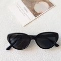 Occhiali da sole cat eye neri alla moda con montatura lucida e lenti grigio scuro in vista piana - Nero e Grigio