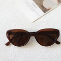 Brown translucent cat-eye sunglasses with dark brown lenses on white textured background - Transparent Dark Tea