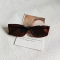 Gafas de sol rectangulares retro con montura translúcida de color rojo pardo oscuro - Té Oscuro