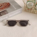 Retro square sunglasses with smoke gray transparent frame and dark gray tinted lenses - Grey 6-Smoky Grey Translucent Square Frame