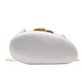 Minimalist silver acrylic evening clutch bag with dual-tone metal clasps and gold chain - Silver