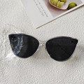 Cat eye sunglasses with transparent resin frame and black lenses for outdoor fashion - Transparent Frame Grey Lens