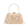 Elegante borsa da sera in pizzo color champagne con paillettes e manico ad anello - Cachi