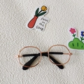 Retro Haustierbrille mit rundem roségoldenem Metallrahmen und schwarzen Bügelenden - Stil 2 / Gold