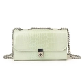 Mint green snakeskin embossed small square bag with silver metal chain strap - Green