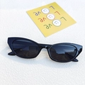 Classic black cat-eye sunglasses with retro full-frame design on a white background - Black and Gray