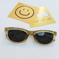 Retro sunglasses with translucent champagne frames and stylish dark leopard print temples - Transparent Green