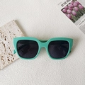 Occhiali da sole retrò verde menta quadrati con montatura spessa e lenti scure - Montatura Spessa di Tendenza Verde Menta (Wheat Seedling Green 3)