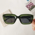 Occhiali da sole verdi con montatura spessa e lenti scure per uno stile retrò - Montatura Quadrata Arrotondata Trasparente Verde Scuro (Songshuang Green 2)