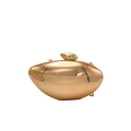 Sleek rose gold pebble-shaped acrylic clutch with metallic finish and gold chain strap - Champagne