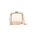 Transparent acrylic mini bag with rose gold leopard clasp and snake chain strap - Square (Cheetah Clasp)