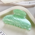 Pince à cheveux élégante en acétate vert clair à motif marbré pour cheveux épais - Forme Carrée / Vert