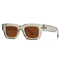 Gafas de sol polarizadas cuadradas con montura gris translúcida y cristales marrones - C4 Montura Champaña Lentes Té