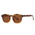 Classic polarized round frame sunglasses with tortoiseshell pattern and brown lenses - Tortoiseshell Frame Tea Lens