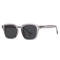 Classic gray transparent round polarized sunglasses with stylish metal rivets on the frame - Transparent Grey Frame Grey Lens