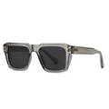 Polarized square sunglasses with dark grey transparent frames and H-shaped gold metal accents - Grey Frame Black Grey Lens