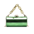 Borsa a cilindro in acrilico verde con chiusura a perla e manico a catena dorata - Verde