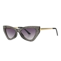 Modern cat-eye sunglasses with grey glitter frame, purple gradient lenses and gold temples - Gray Glitter (C3)