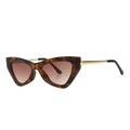 Modern cat-eye sunglasses featuring tortoiseshell frames and gold metal temples - Leopard Tortoise (C4)