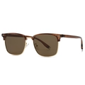 Retro polarized browline sunglasses with brown upper frame and gold metal accents - Tea Frame Tea Lens