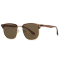 Classic browline polarized sunglasses with brown frames and golden metal rims - Tea Frame Tea Lens