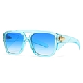 Modern oversized light blue translucent sunglasses with gold insect detail on the temple - Blue Frame Blue Lens Gold Accessories