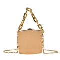 Elegante borsa a scatola in acrilico oro rosa con manico a catena e tracolla lunga - Oro
