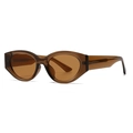 Retro cat-eye zonnebril met doorschijnend bruin montuur en bijpassende bruine glazen - Theekleurig Montuur Thee Lenzen (C2)