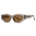 Moderne retro zonnebril met transparant grijs montuur en bruin getinte glazen - Grijs Frame Thee Lenzen (C5)