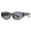 Vintage cat-eye zonnebril met donkergrijs acetaat montuur en gepolariseerde glazen - Grijs Frame Grijze Lenzen (C6)