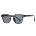 Retro grey transparent frame sunglasses with metal core temples and silver rivets - Transparent Gray Frame Gray Lens