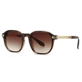 Retro round tortoiseshell sunglasses with brown gradient lenses and gold metallic temples - Tea Frame Tea Lens