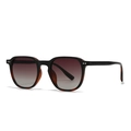 Moderne Retro-Sonnenbrille mit Doppelsteg in Schwarz und Schildpatt-Optik - C5 Schildpatt Teegläser