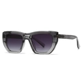 Modern square sunglasses in transparent grey frame with dark gradient lenses - Gray Frame Gray Lens (C5)