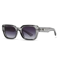 Square translucent grey frame sunglasses with silver arrow detail and gradient lenses - Grey Frame Grey Lens