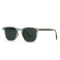Gafas de sol redondas con montura gris transparente y lentes de color carbón oscuro - Montura Verde Transparente Lentes Verdes (C4)