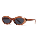 Modern oversized oval sunglasses in translucent tea brown frame with grey lenses - Tea (C6 Tea Frame Grey Lens)