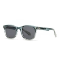 Retro translucent grey small frame sunglasses with dark lenses and gold rivets - Green & Grey Frame Black Grey Lens