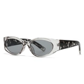 Fashionable oversized cat eye sunglasses with clear acetate frames and tortoiseshell temples - C5 Gray Frame Gray Lens