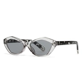 Lunettes de soleil œil-de-chat modernes avec monture transparente et branches marbrées - Gris Transparent/Verres Gris