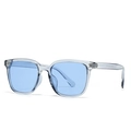 Lunettes de soleil rondes rétro avec monture grise transparente et verres bleu clair - Monture Grise Verres Bleus (C8)
