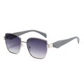 Modern narrow frame sunglasses with gradient purple lenses and geometric temples - C6 Silver Frame Double Grey Lens