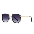 Retro round sunglasses with purple gradient lenses and gold metallic frame accents - Black Gold Frame Double Grey