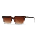 Retro square tortoiseshell sunglasses with brown gradient lenses and gold arrow metal accents - Tea Frame Tea Lens