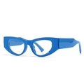 Modern bright blue cat eye glasses with wide temples for a stylish fashion statement - Blue Frame Clear Lens