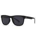 Classic square polarized sunglasses with matte black frames and silver metal accents - C6 Matte Black Frame Light Grey Accents
