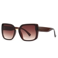 Gafas de sol cuadradas retro con montura de carey y lentes de color marrón degradado - C4 Montura Té Doble Té